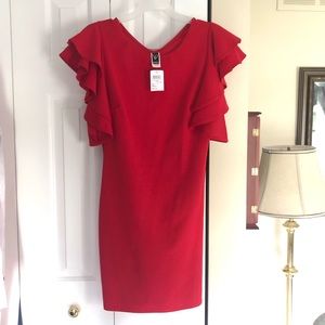 Windsor Red Dress